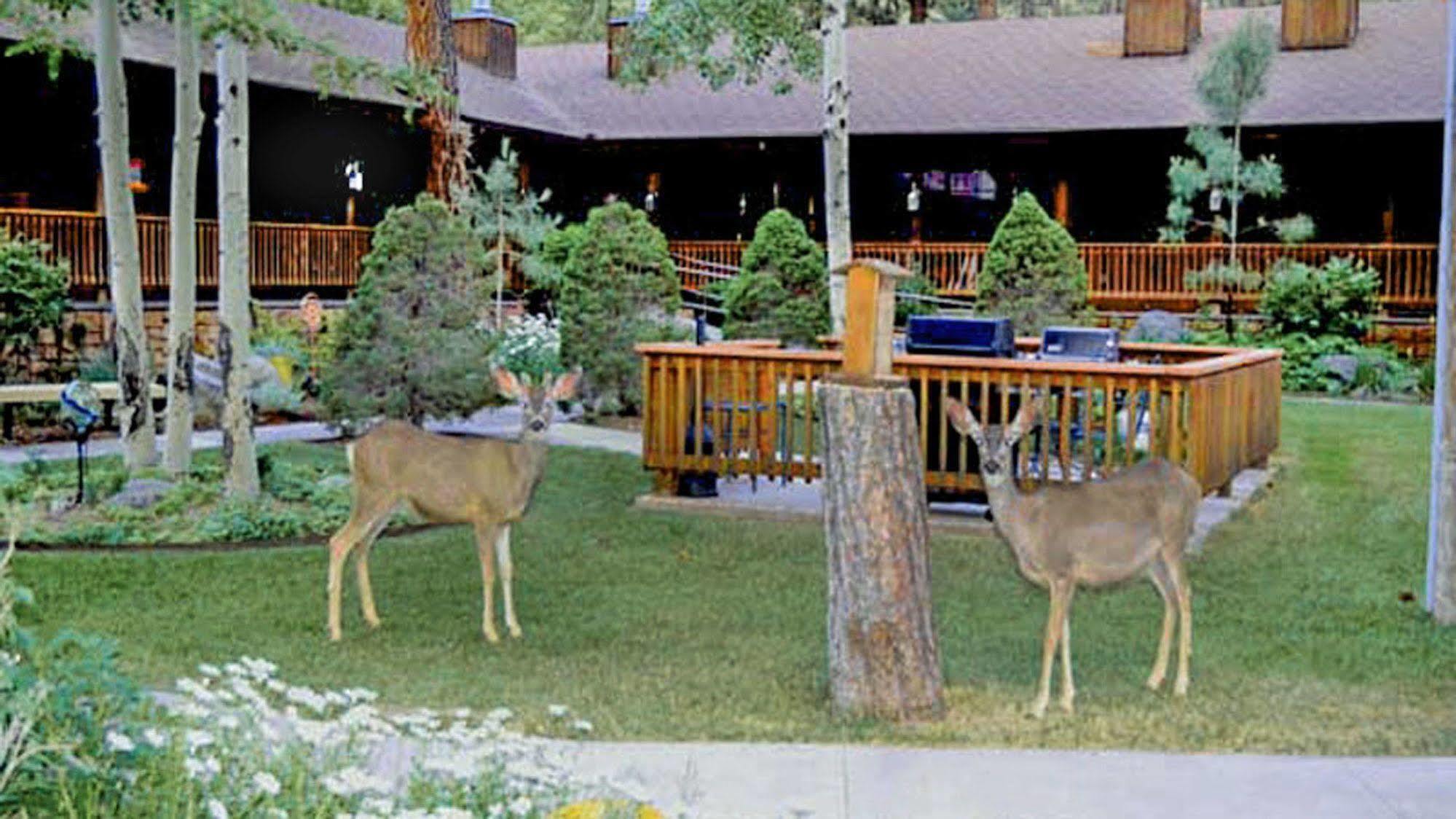 Shadow Mountain Lodge And Cabins รุยโดโซ ภายนอก รูปภาพ